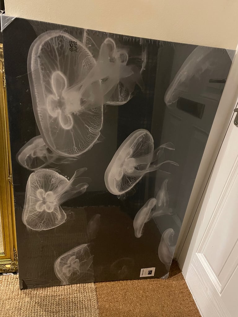 Large IKEA canvas 