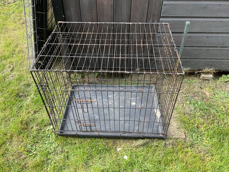 Dog Cage with a Tray