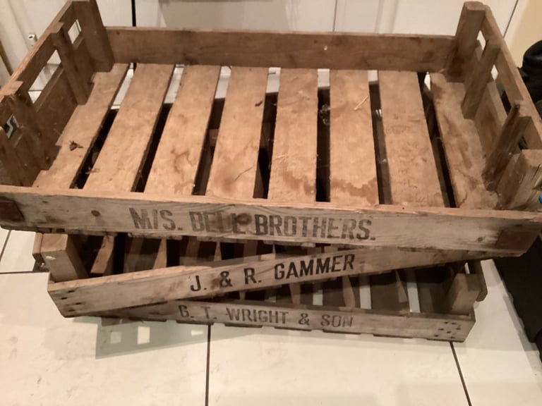 image for Chitting Trays