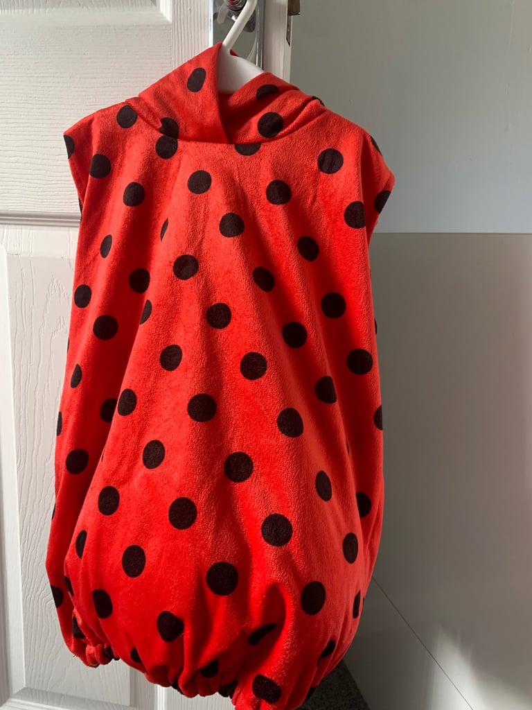 image for Ladybird costume 2 - 4 year old
