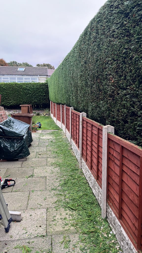image for Hedge Cutting, pressure washing, Fencing and Paving
