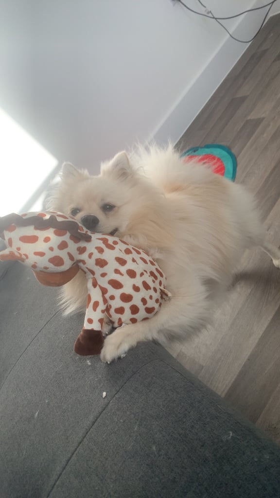 Amarni