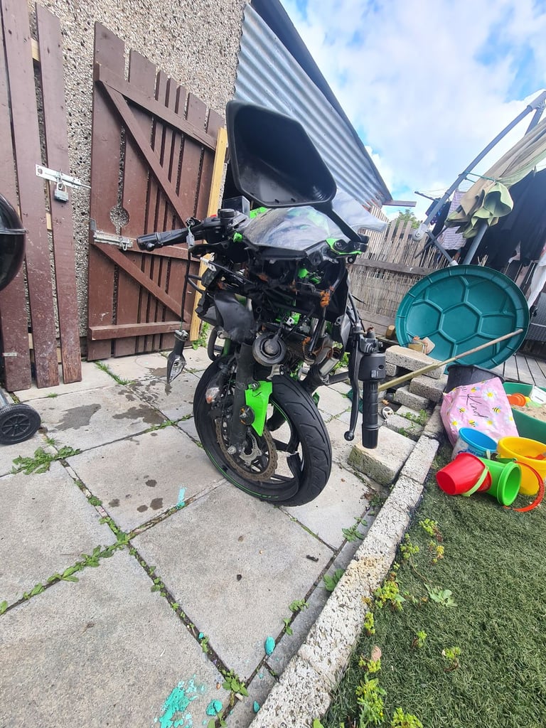 Kawasaki, NINJA, 2023, 125 (cc)