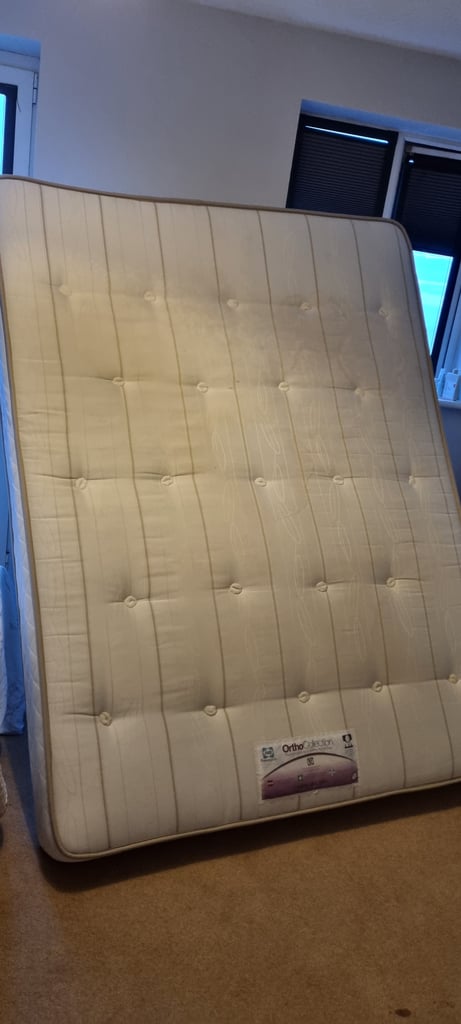 FREE King sized Sealy Mattress