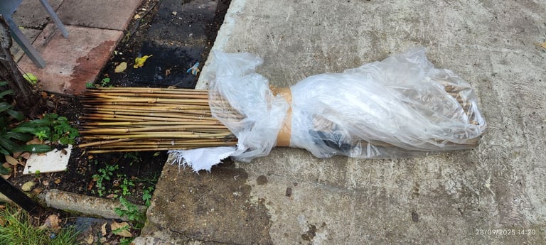 image for plant bamboo sticks