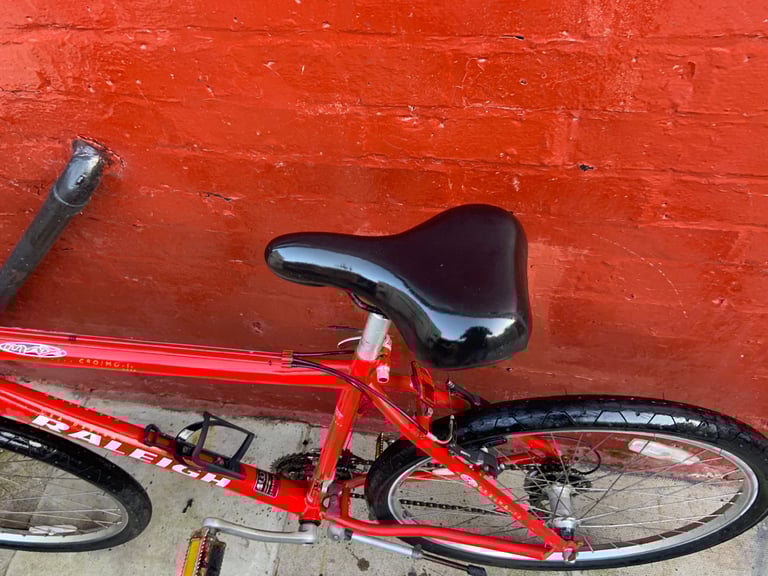 Raleigh mountain bike 