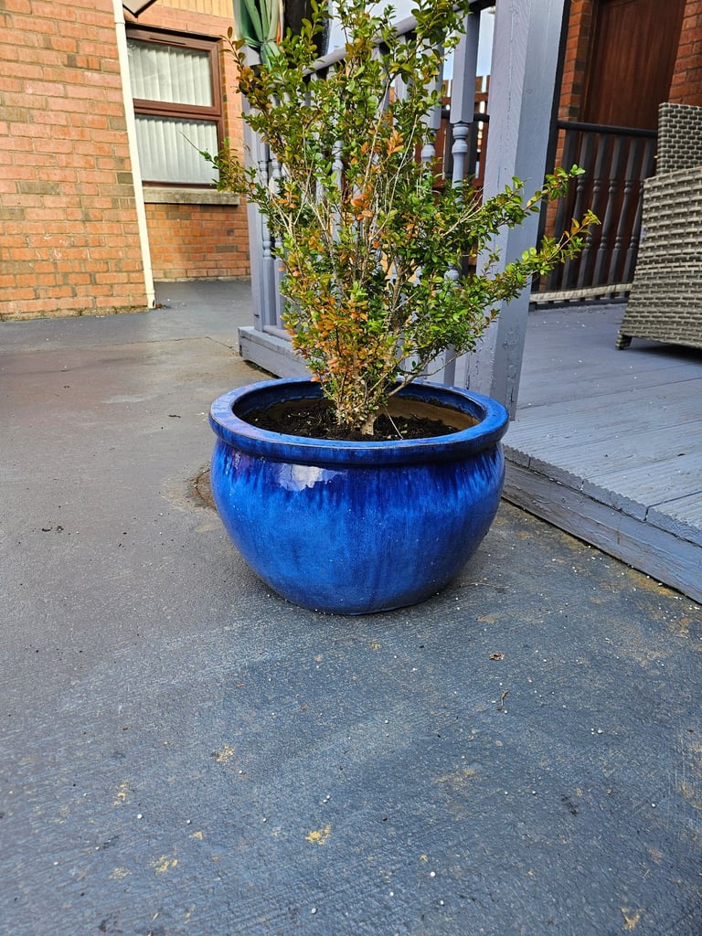 Extra Large Vibrant Blue Glazed Ceramic Pots