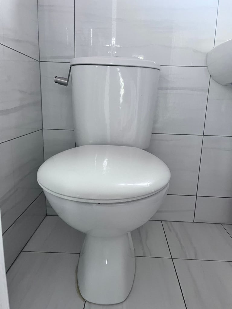 image for Toilet and sink (with pedestal)