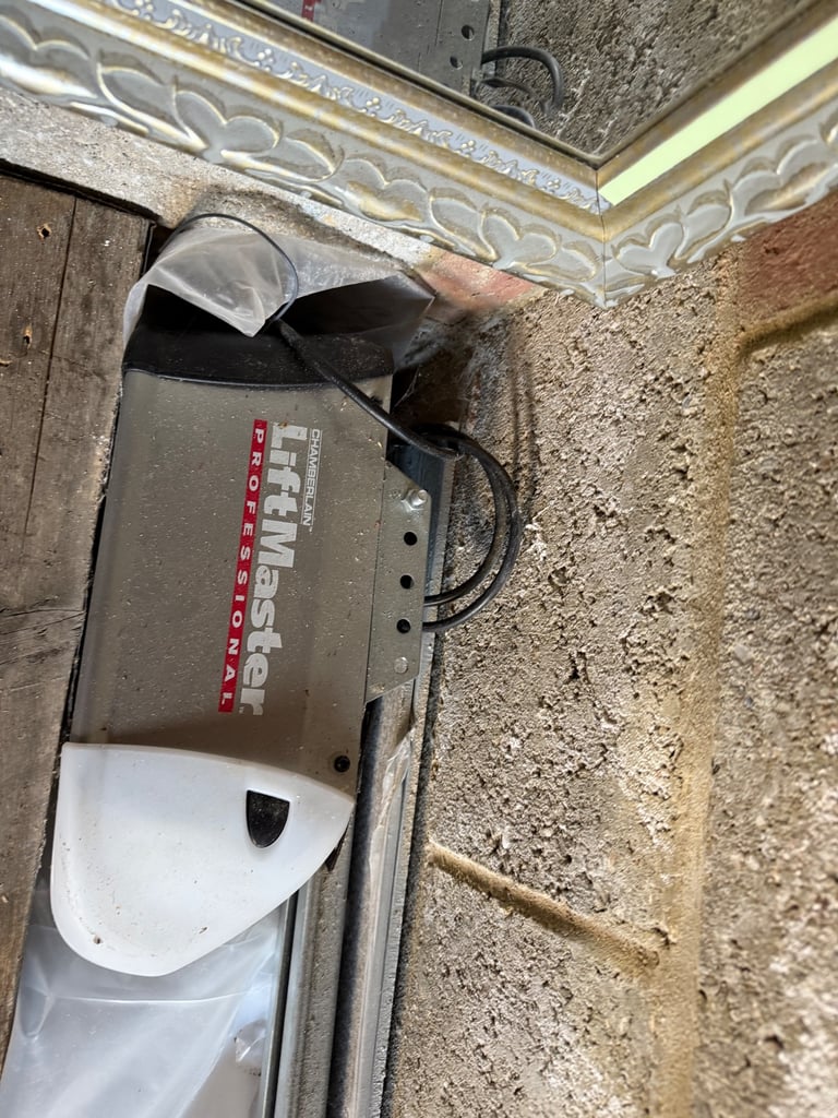 Automatic Garage Door Opener