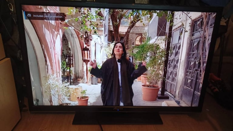 FREE DELIVERY excellent 40 LED full HDTV 1080p freeveiw channels inbuilt 