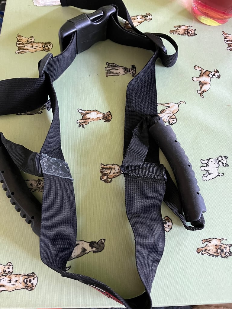Pillion safety belt 