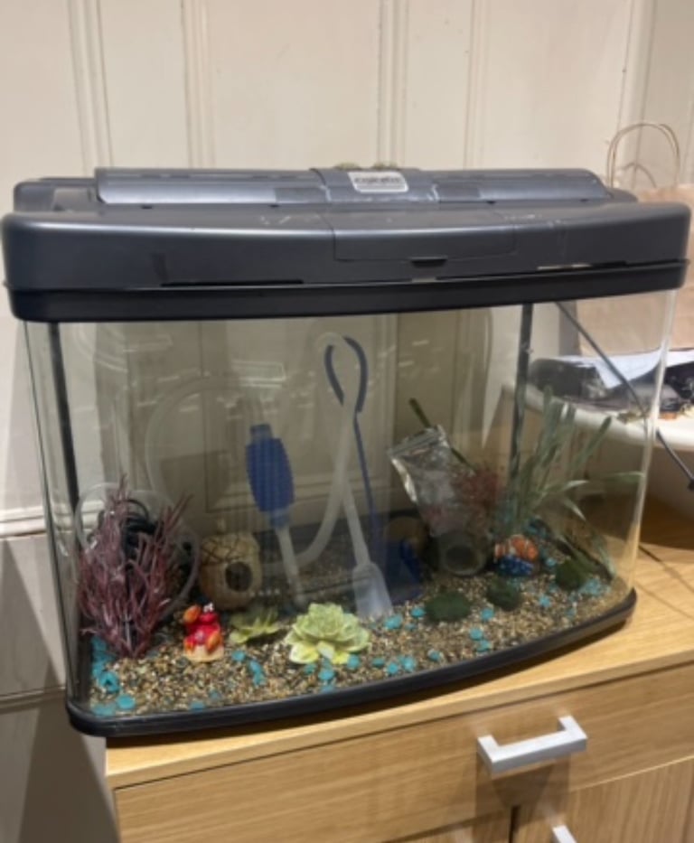 fish tank 