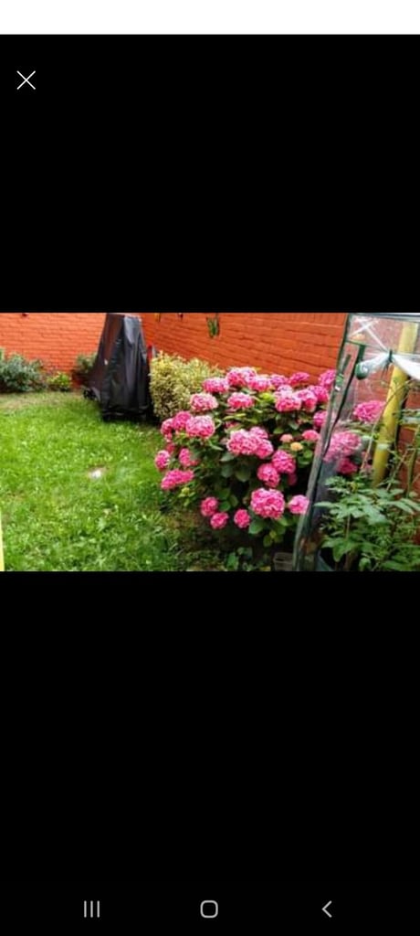 2 bedroom gff with own garden, Southeast London, Se23