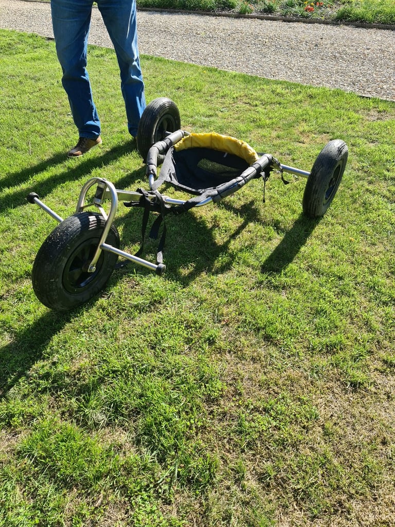 Kite buggy