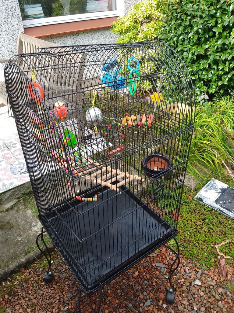 Bird cage 