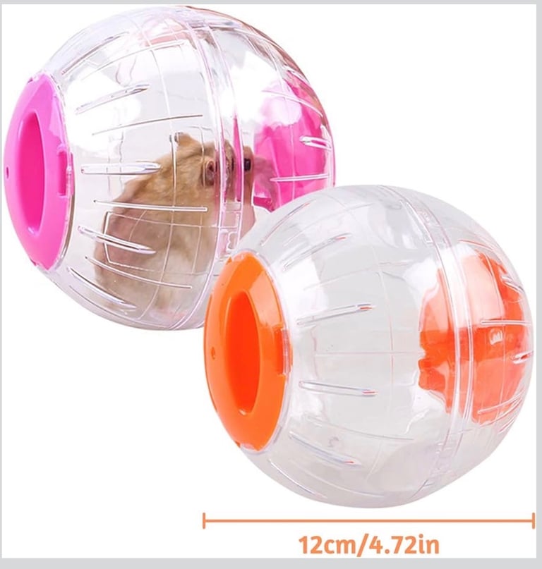 Russian Dwarf Hamster 🐹 4m + Cage & accessories 