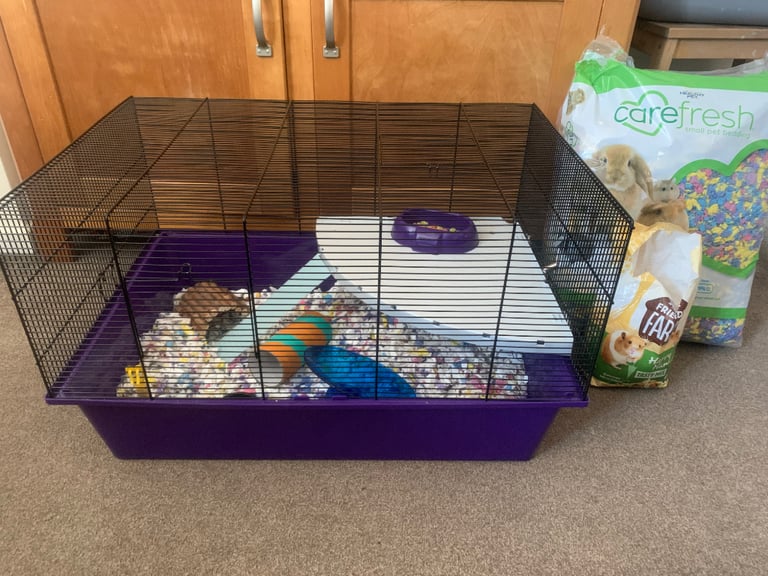 hamster cage ,bedding,food (no hamster)