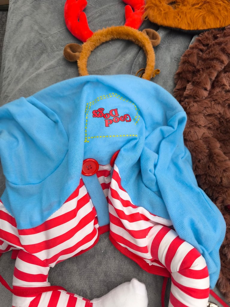 Haloween dog outfits