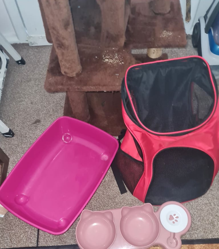 Cat tree and accessories for kittens