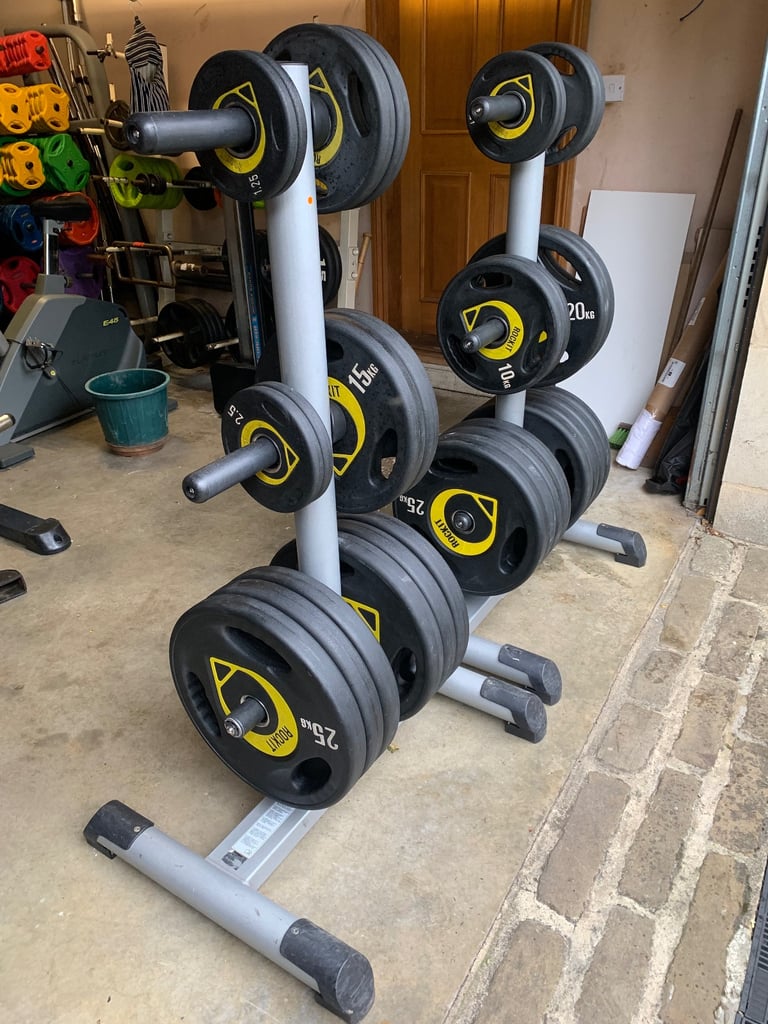 Rockit Olympic Plates + Two weight trees 
