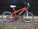 Dawes Redtail Childs bike