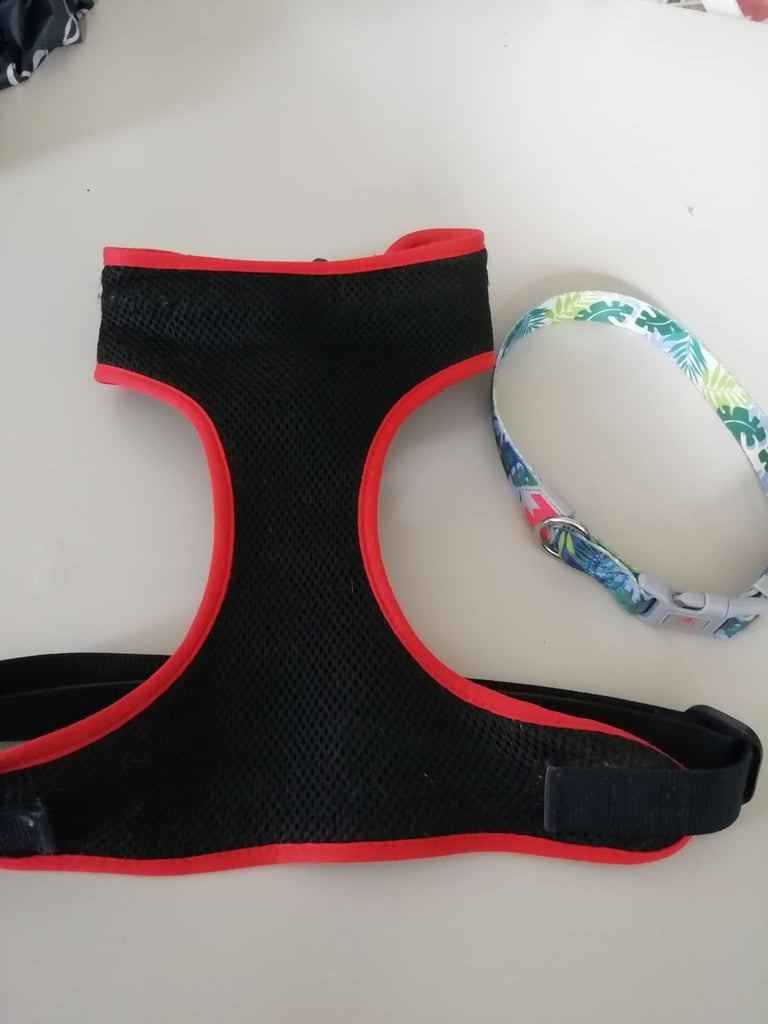 Dog harness and Collar 