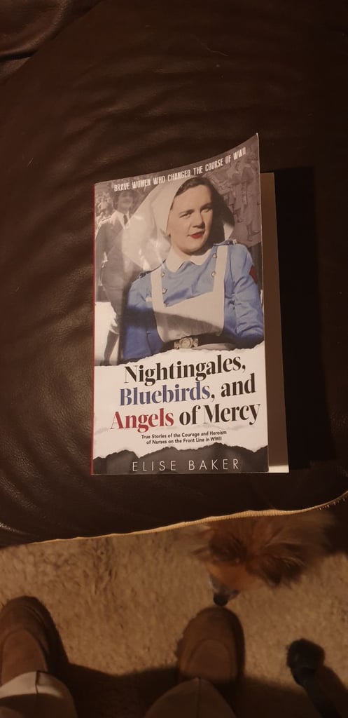 image for Nightingales, bluebirds and angels of mercy 