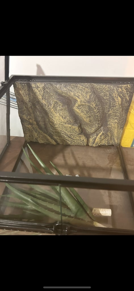 Vivarium with full accessories 