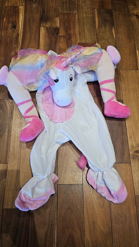 Kids Halloween carry me costume