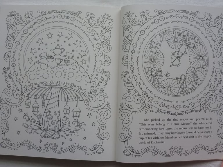 IVY AND THE INKY BUTTERFLY STORY AND COLOURING BOOK