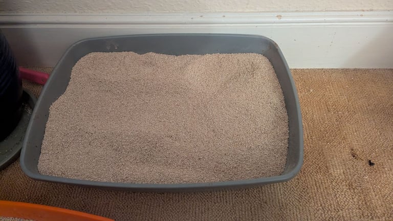 Cat litter bundle