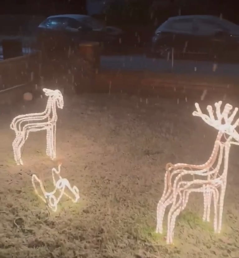 image for Christmas reindeer’s 