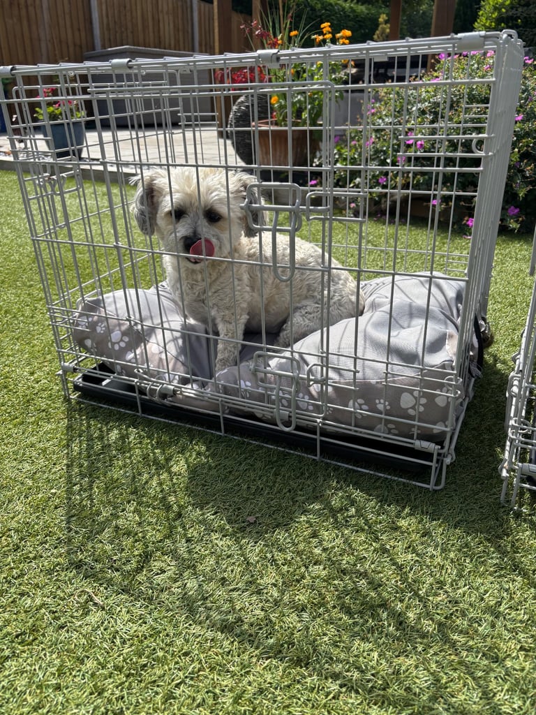 Dog Crates (2) from Pets At Home