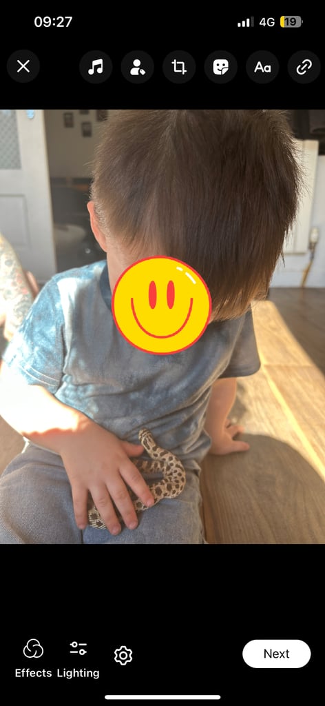 Reptile and invertebrate experience 