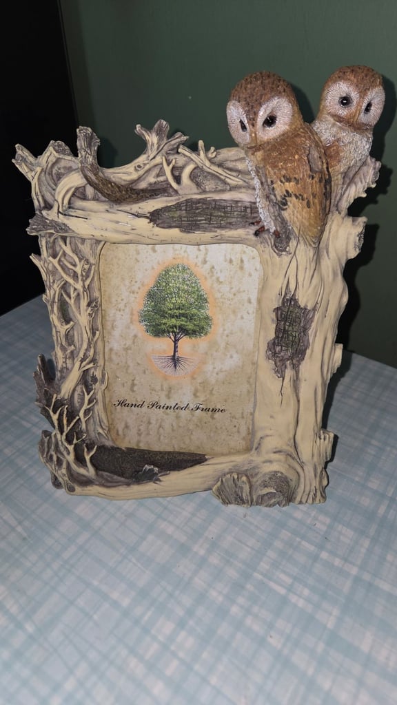 image for Woodland owls picture frame 