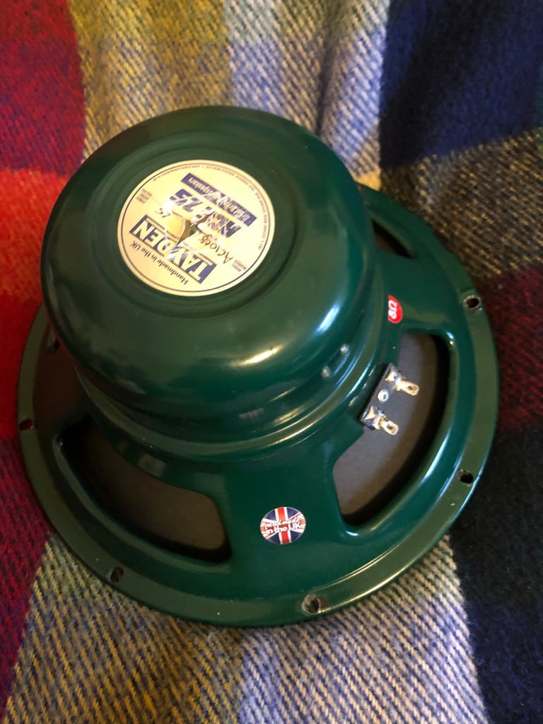 image for Tayden Ace 10 inch 8ohms alnico guitar speaker.