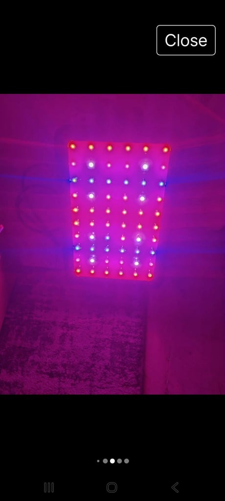 2 x led plant lights