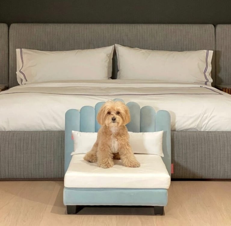  HOOMAN SOHO LUXURY HUMAN QUALITY PET BED  DOG – Riviera Blue | Model: LUX-SML-B