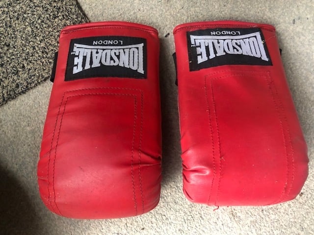 Boxing gloves gumtree online