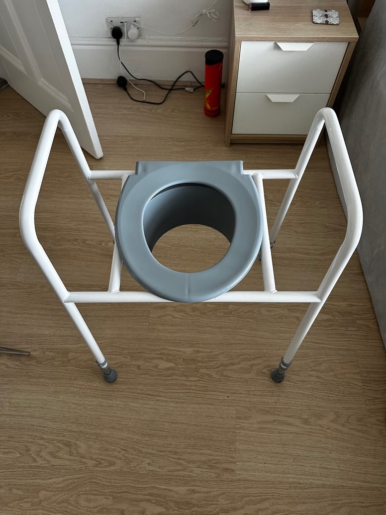 Disability free standing toilet frame and toilet booster seat 