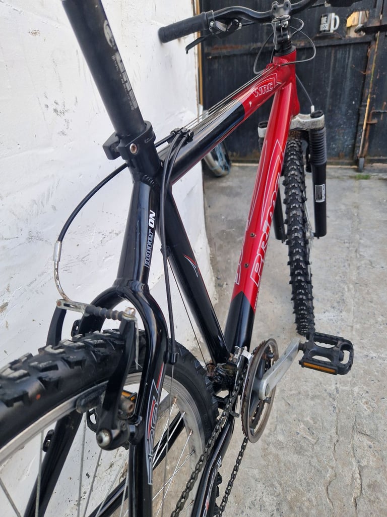 Adults bike 