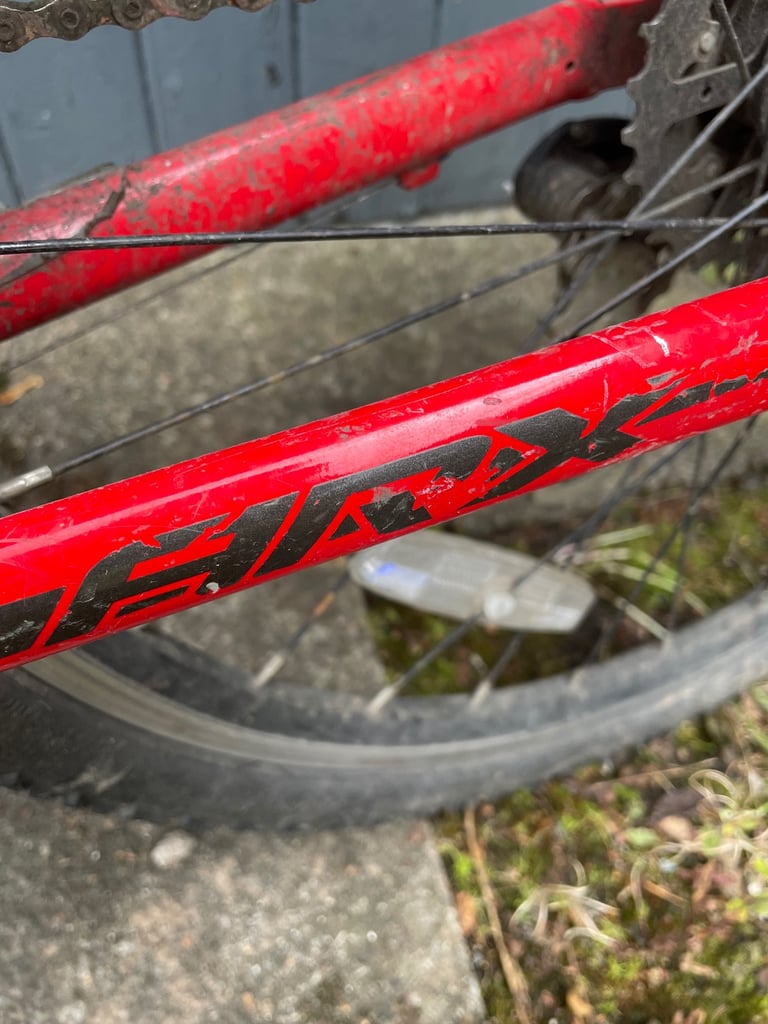 image for Giant (2019) ARX 24 kids bike