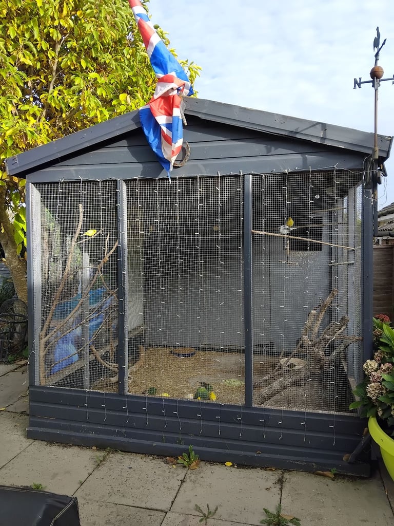 Bird avairy  open to offers 