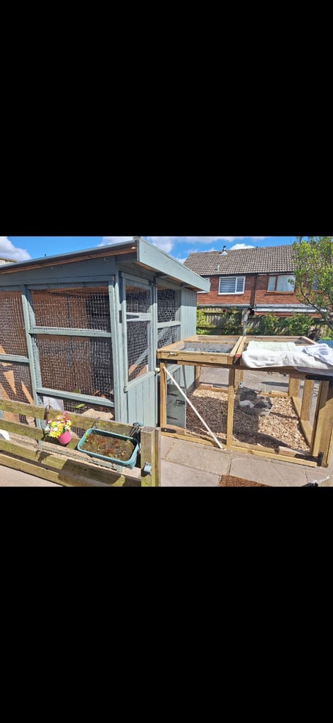 Chicken/Small animal enclosure and runs