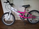 PROFESSIONAL SPARKLE – KID’S BICYCLE in excellent condition