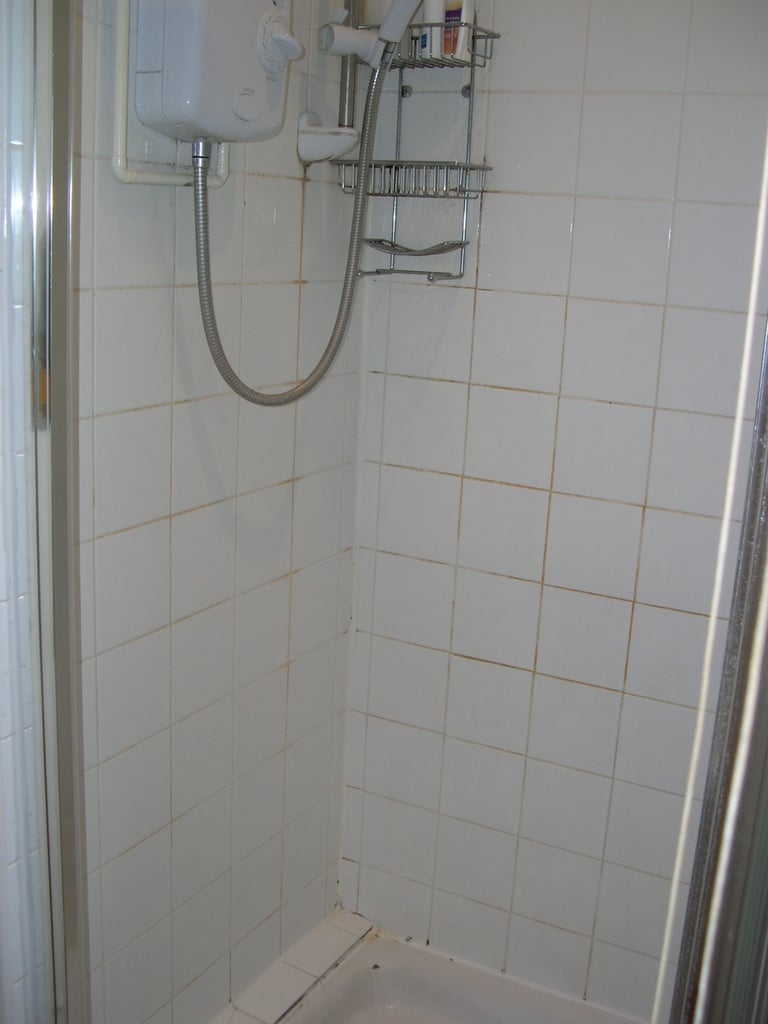 CENTRAL BRIGHTON - SUNNY ROOM IN NICE FLAT, AVAIL NOW, FIXED BILLS INC