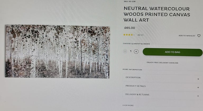 brand new - Art for the Home Neutral Watercolour Woods Printed Canvas Wall Art (RRP £65)