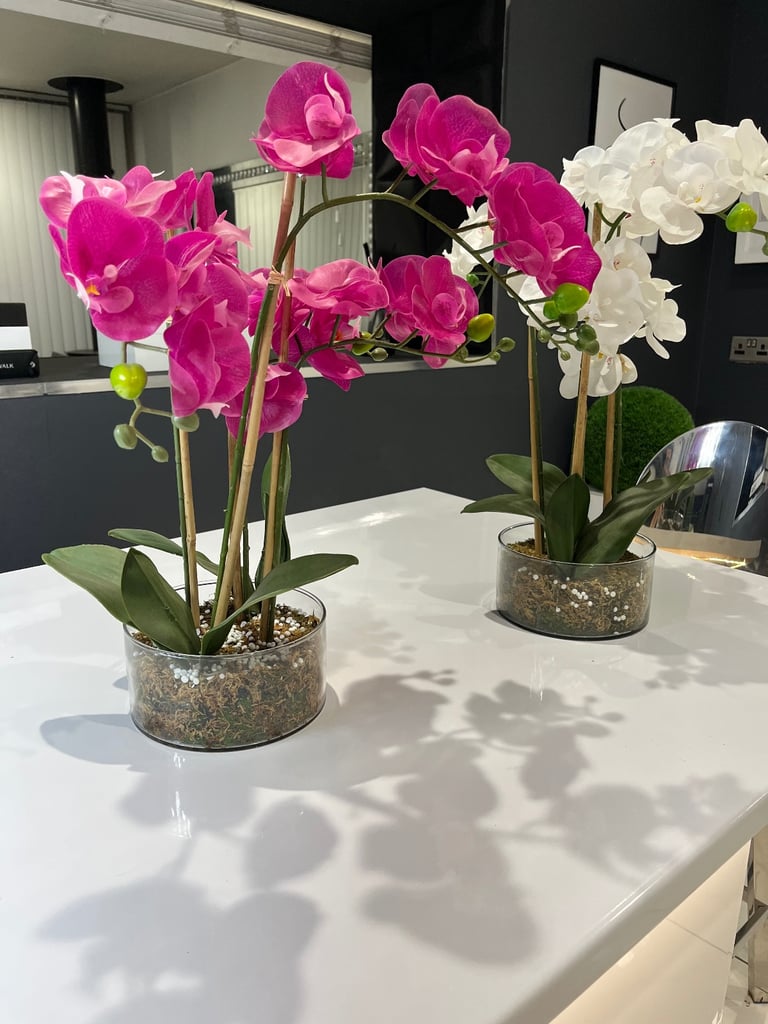 image for Artificial plants 