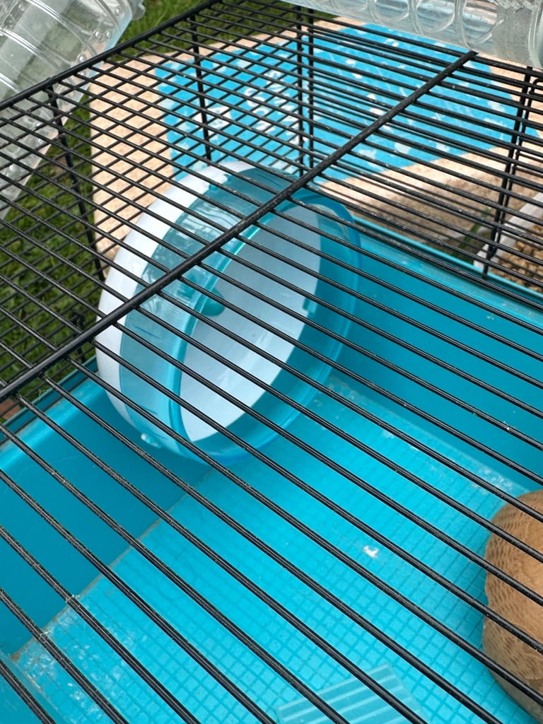 Hamster cage and accessories 