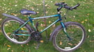 Child&#039;s Raleigh Mountain bike